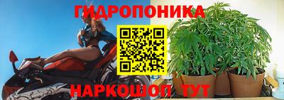 индика Обнинск