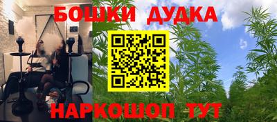 Альфа ПВП Новозыбков