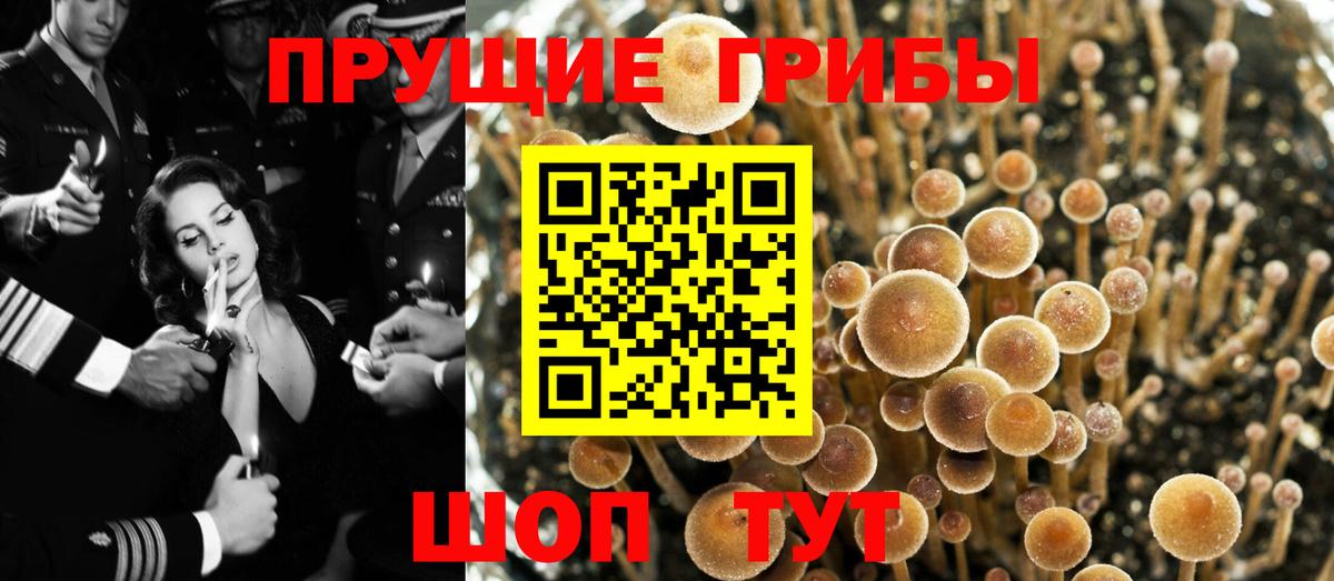 Советский  Псилоцибиновые грибы Magic Shrooms  Псилоцибиновые грибы ЛСД  Вход с VPN 