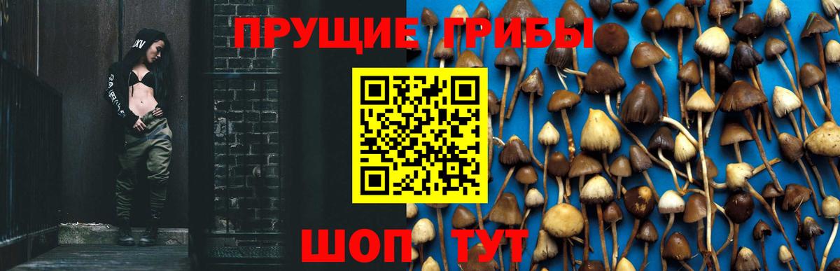 Галлюциногенные грибы прущие грибы Советский