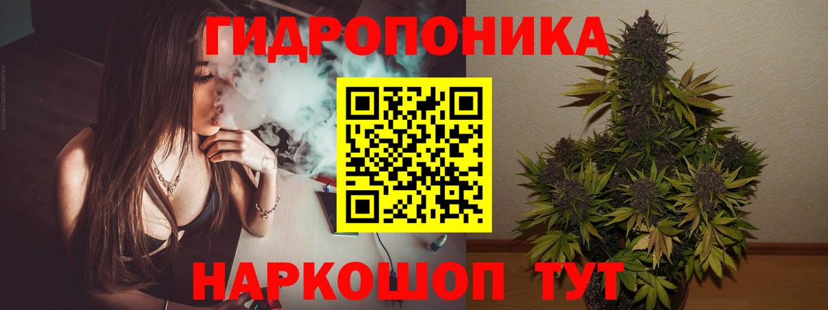 Советский  Каннабис LSD WEED  Бошки Шишки OG Kush  Вход с VPN  Шишки марихуана план  Марихуана OG Kush 